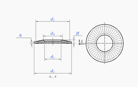 CONICAL WASHER